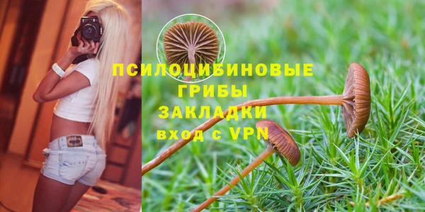 метадон Алексеевка