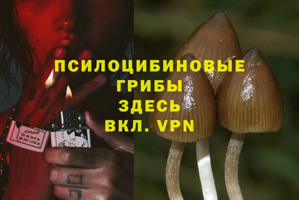 метадон Алексеевка