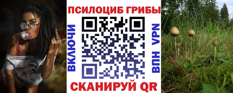 Галлюциногенные грибы Psilocybine cubensis  наркотики  Ардатов 